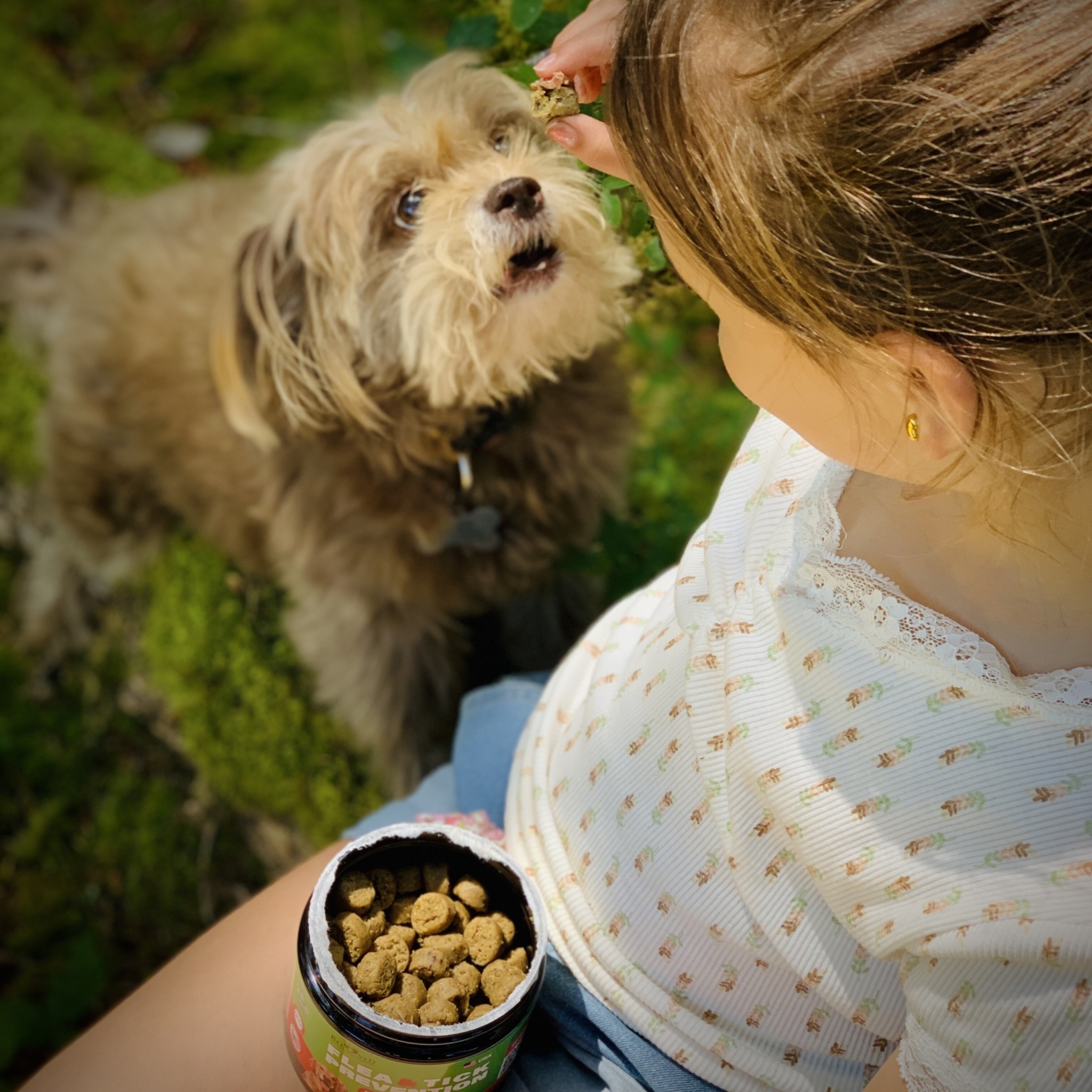 Girl feeding small dog treats