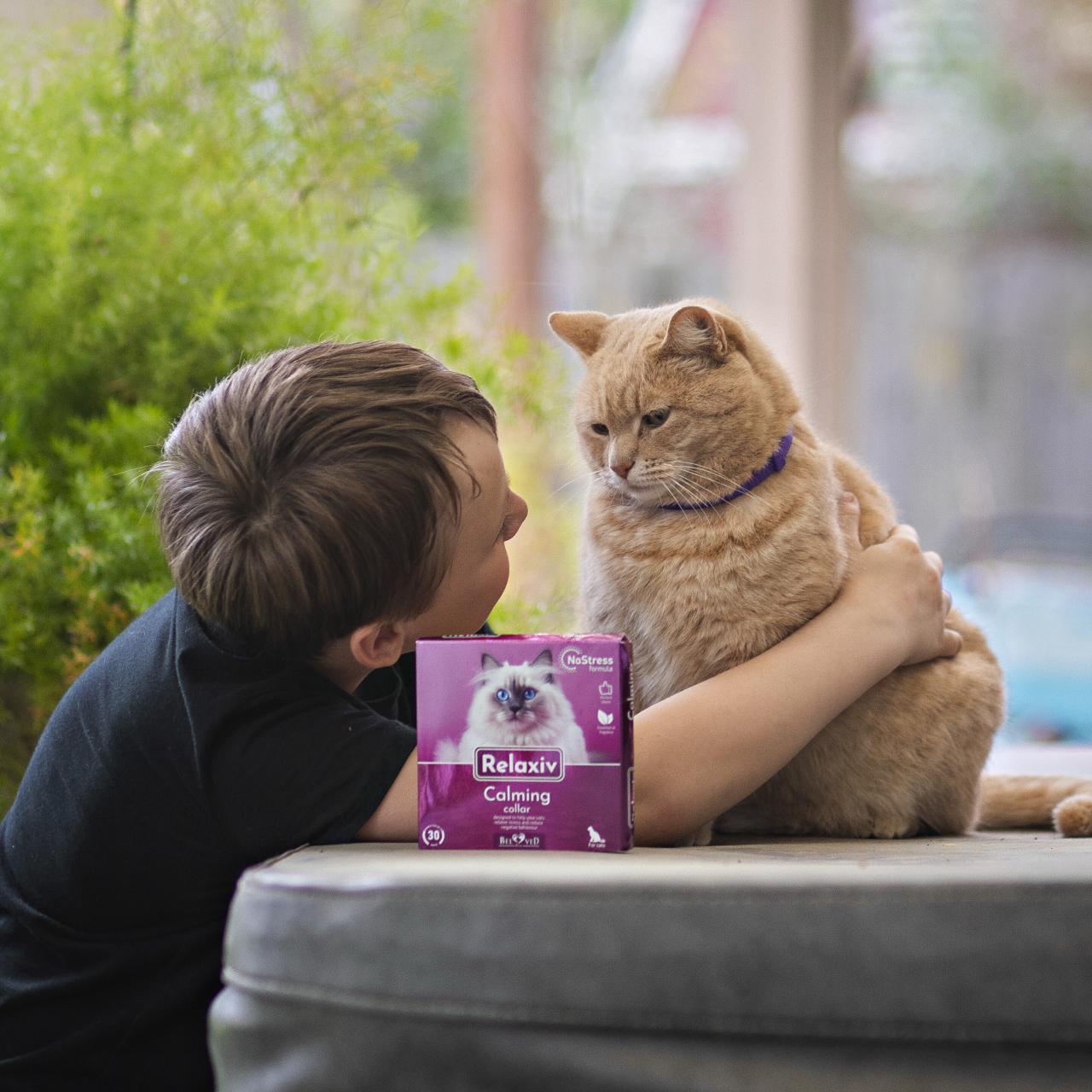 Relaxiv Calming Collar for cats