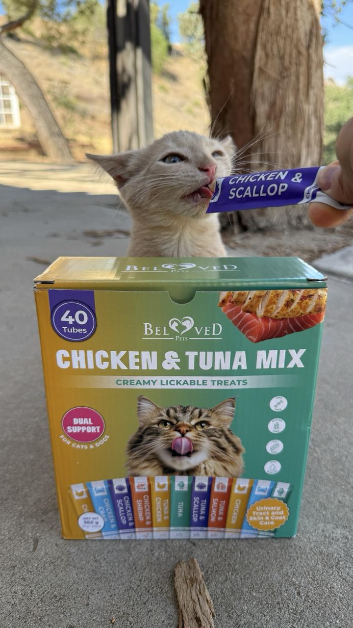 Blogger featuring Beloved Pets