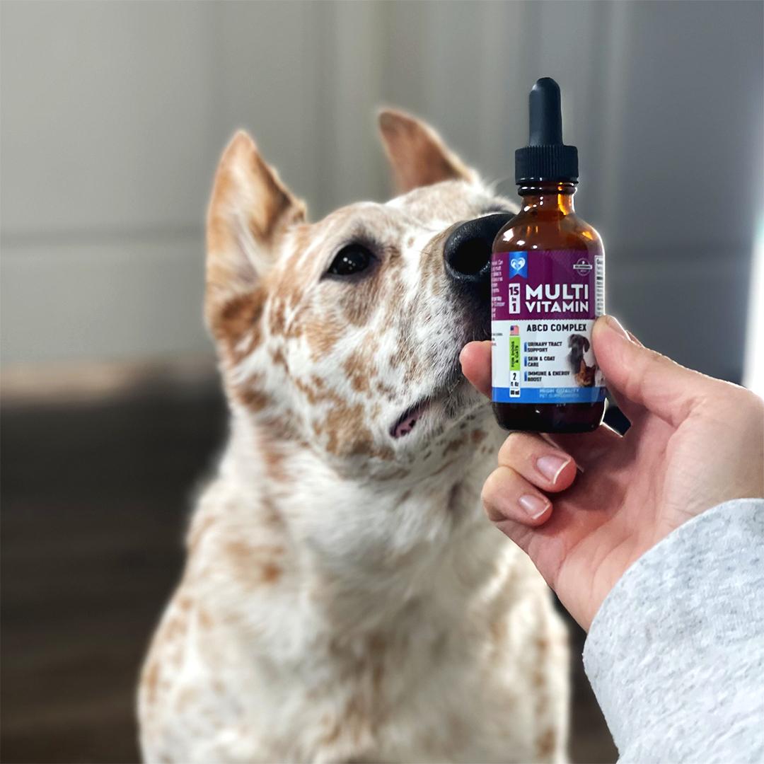 Influencer with pet products