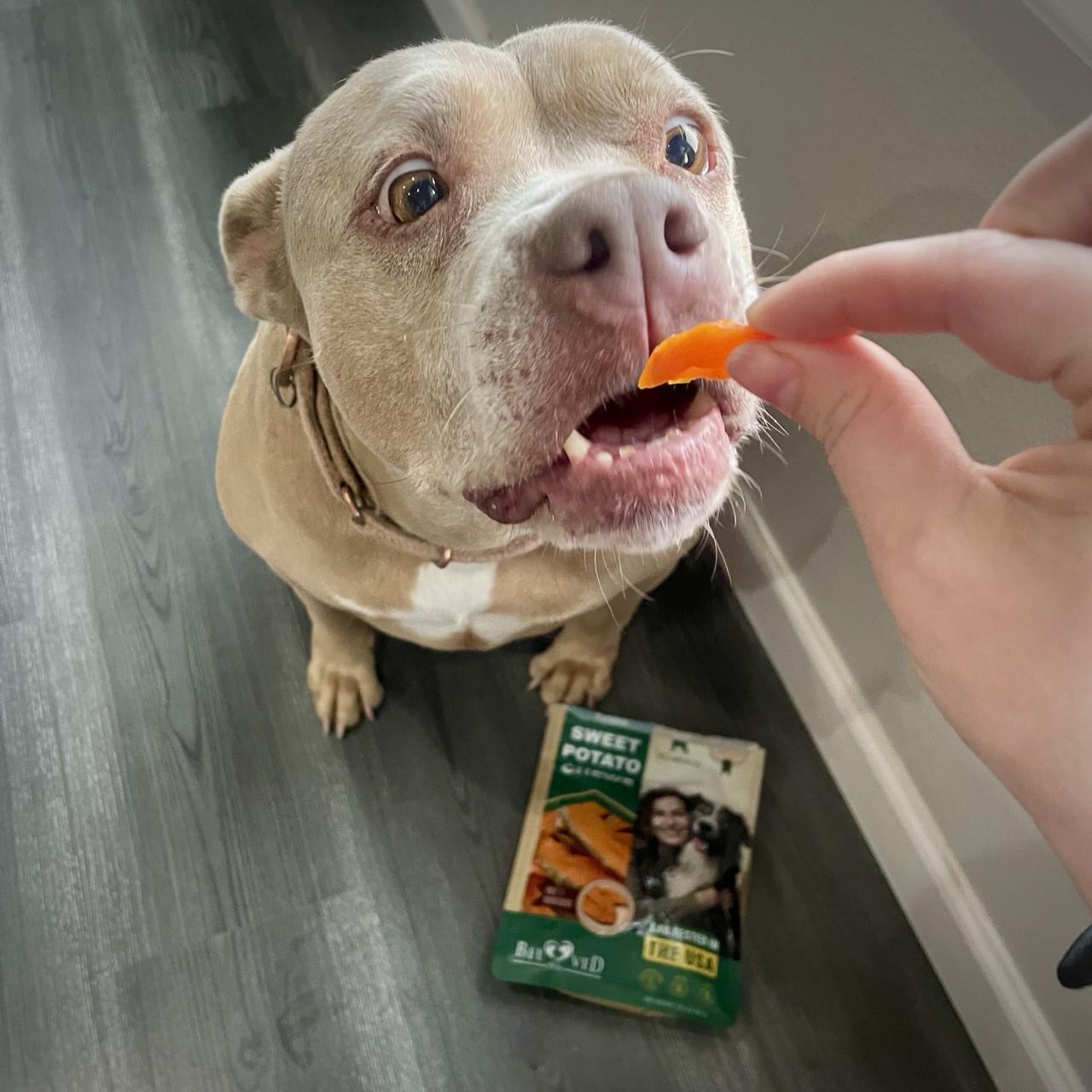 Dog enjoying Sweet Potato treats