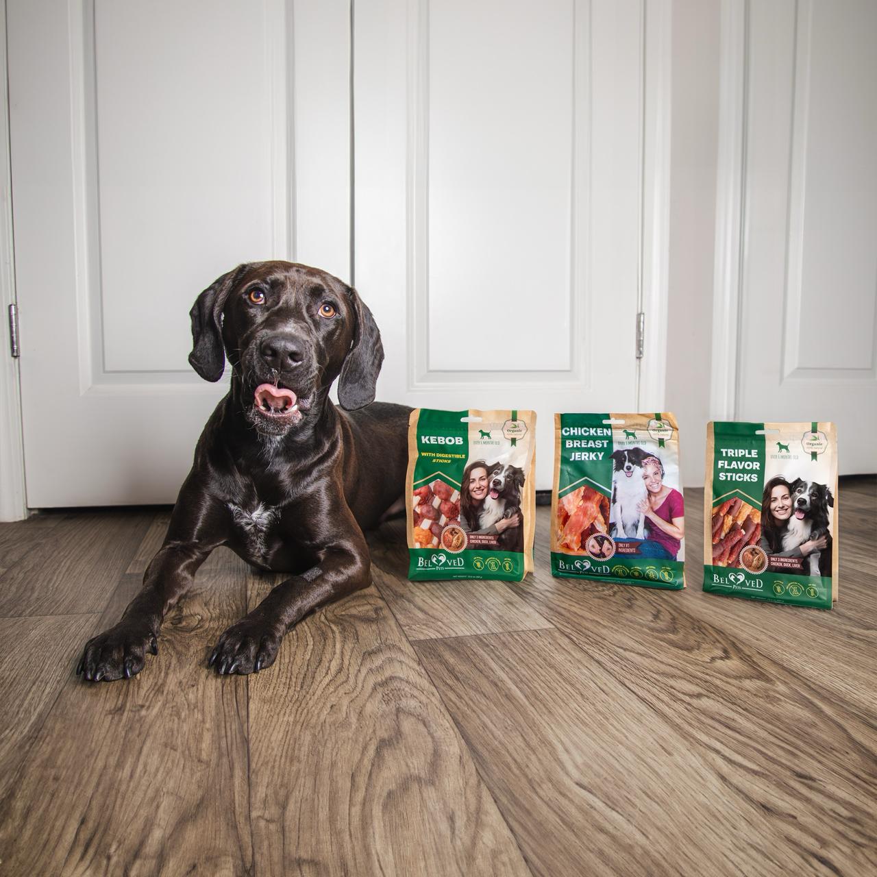 Dog with Kebob and Chicken treats